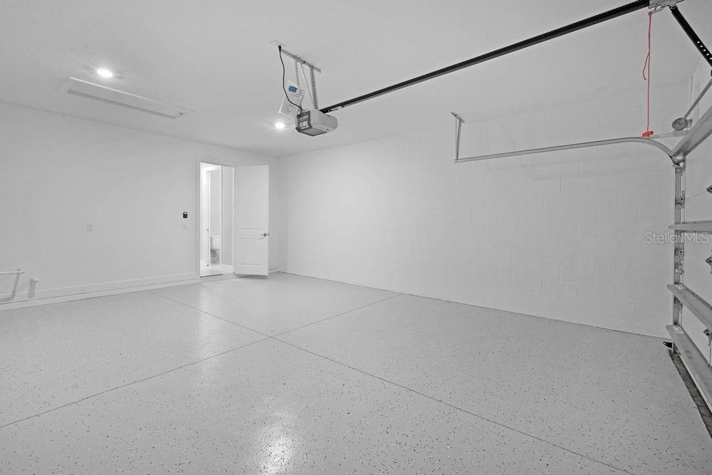 29837 Imperati ~ Ready Now