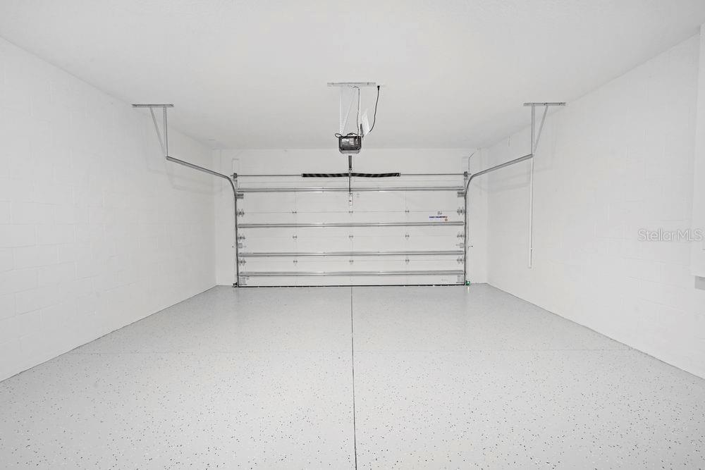 29837 Imperati ~ Ready Now