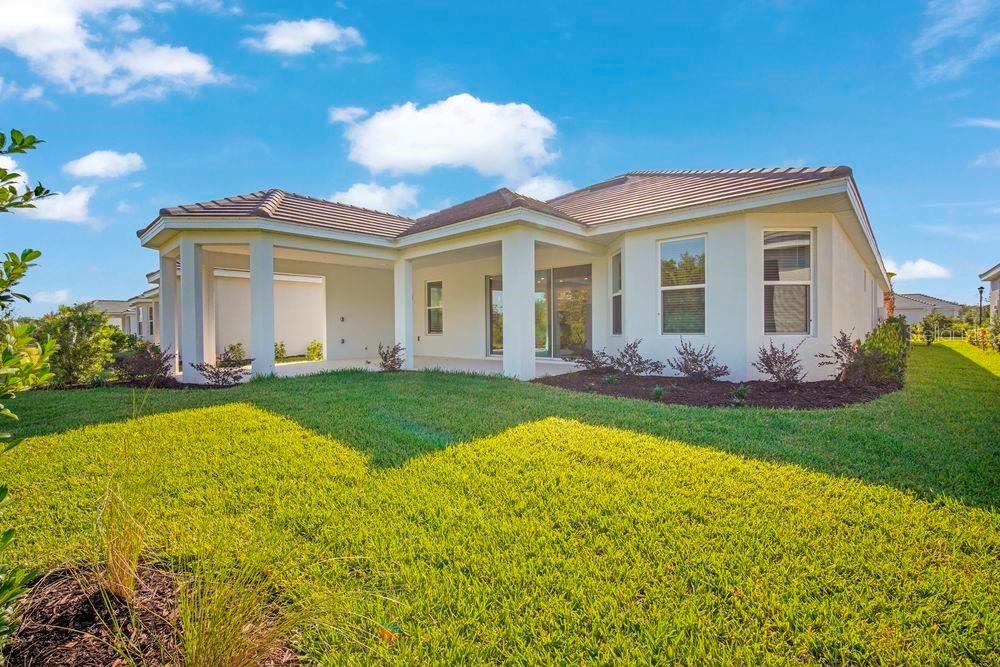 29837 Imperati ~ Ready Now