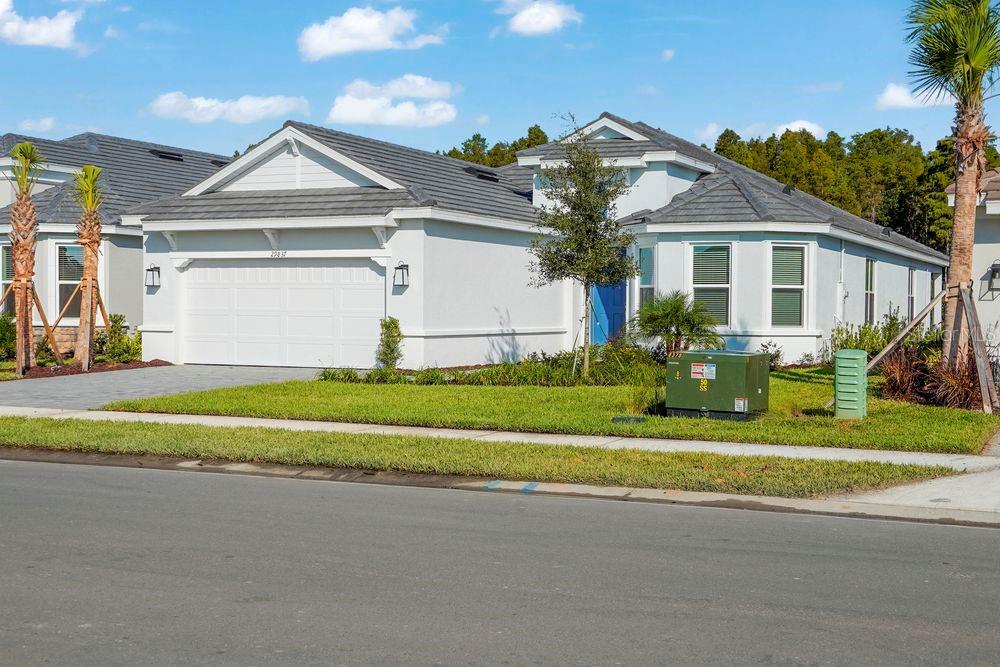 29837 Imperati ~ Ready Now