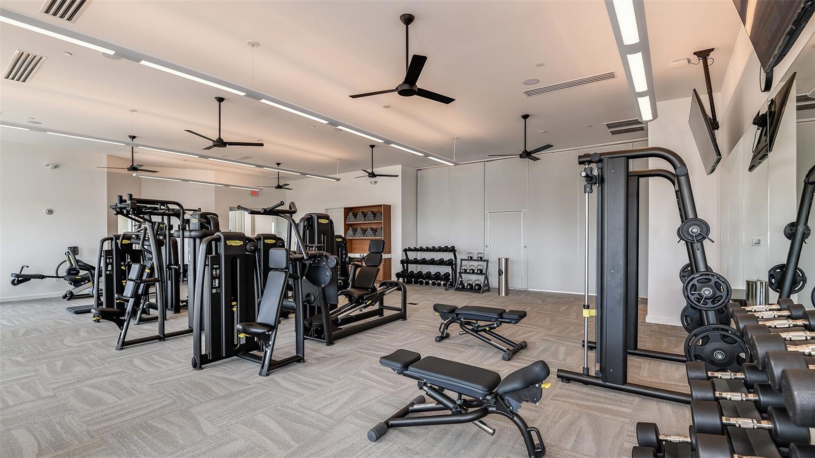 Esplanade at Wiregrass Ranch