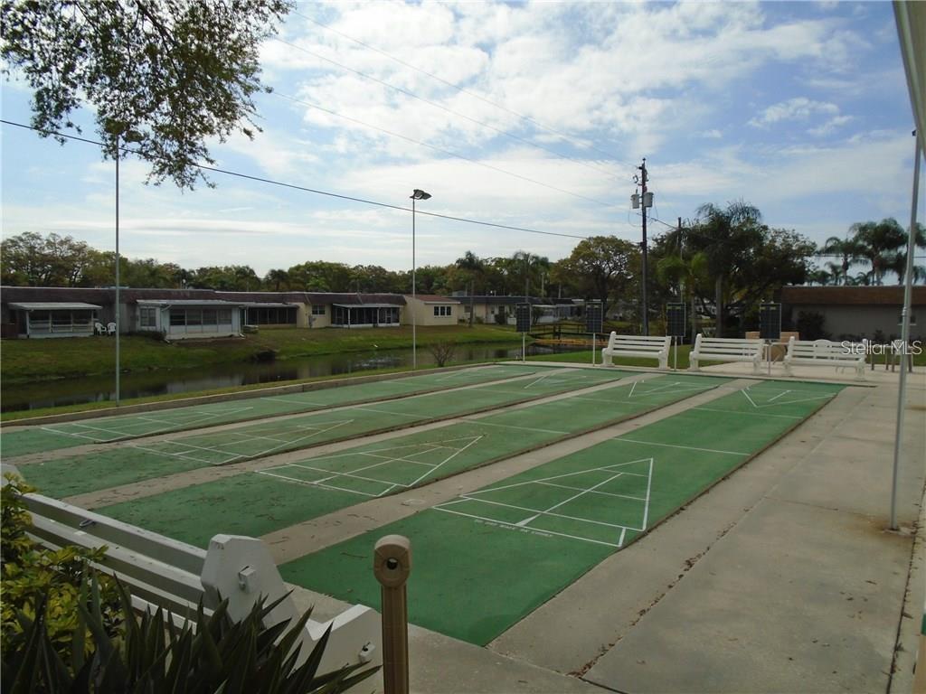 Shuffleboard !?