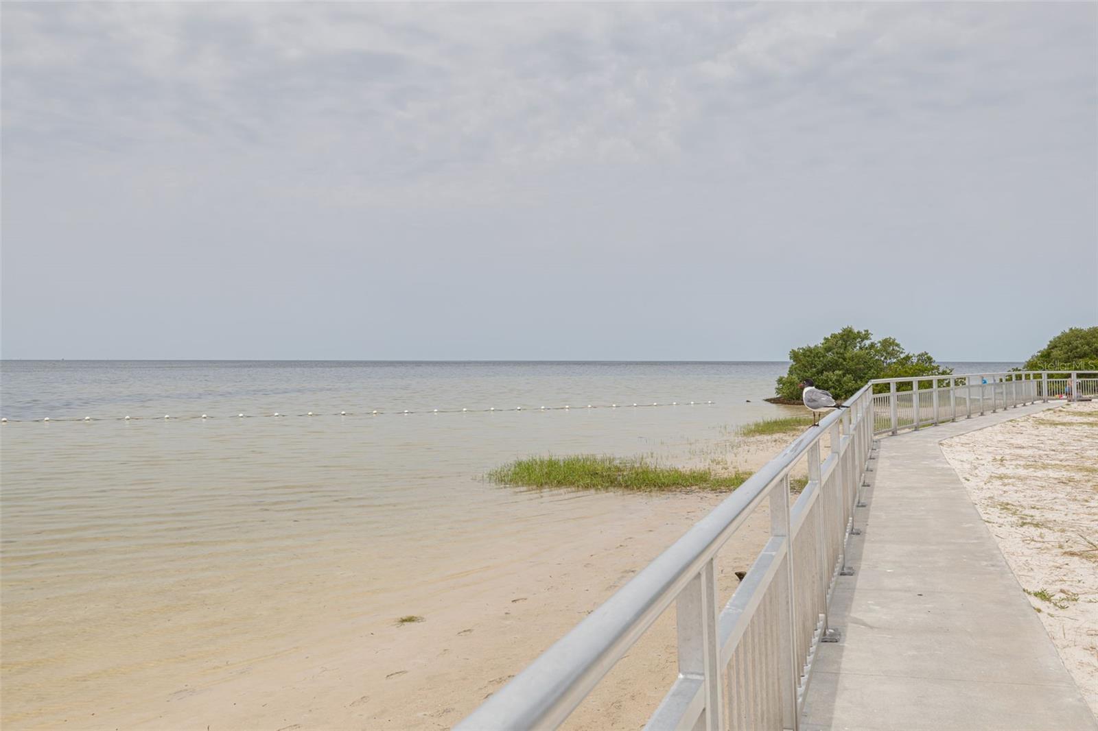 Robert K Rees - Public Park / beach