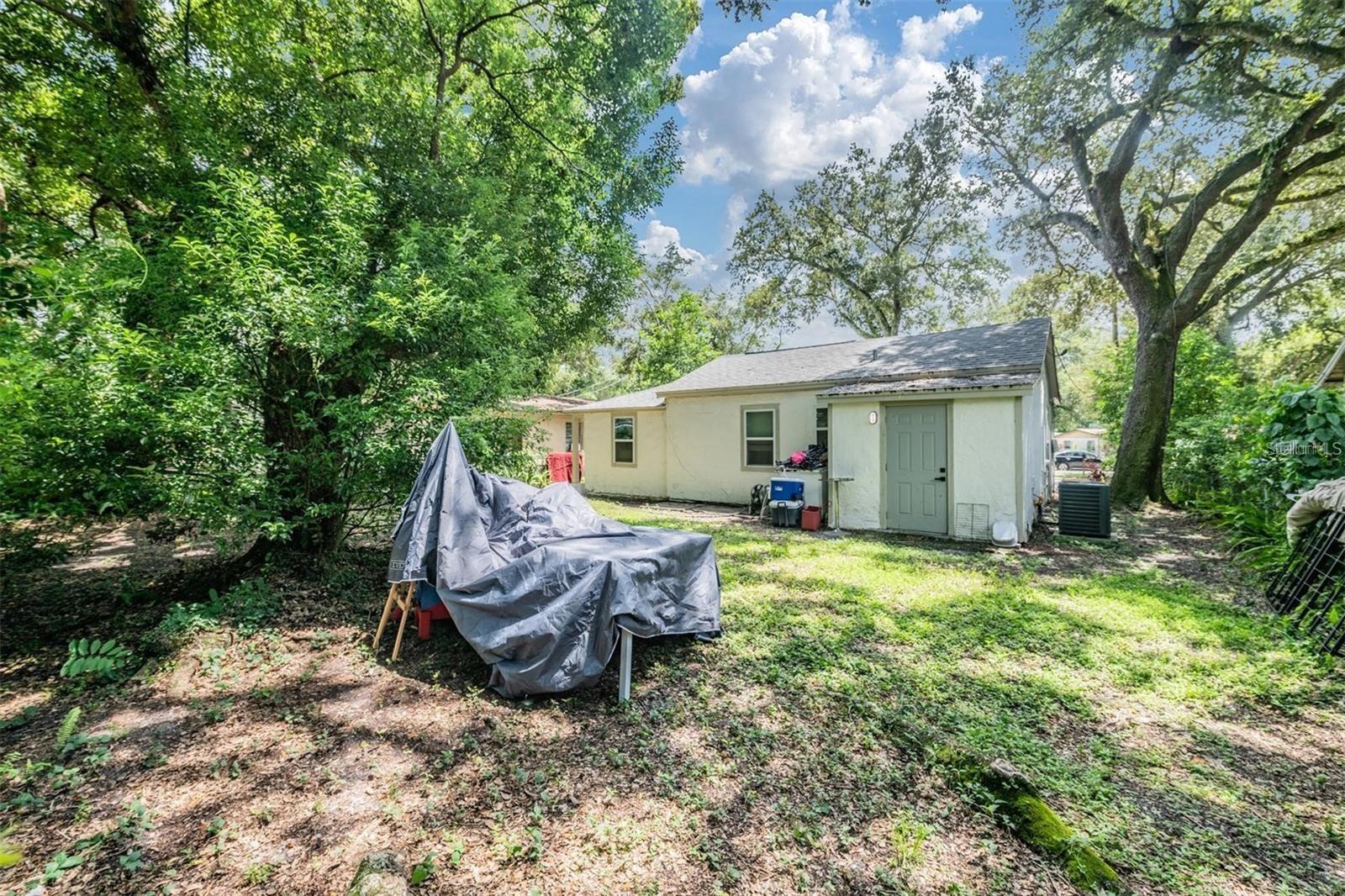 Back Yard
