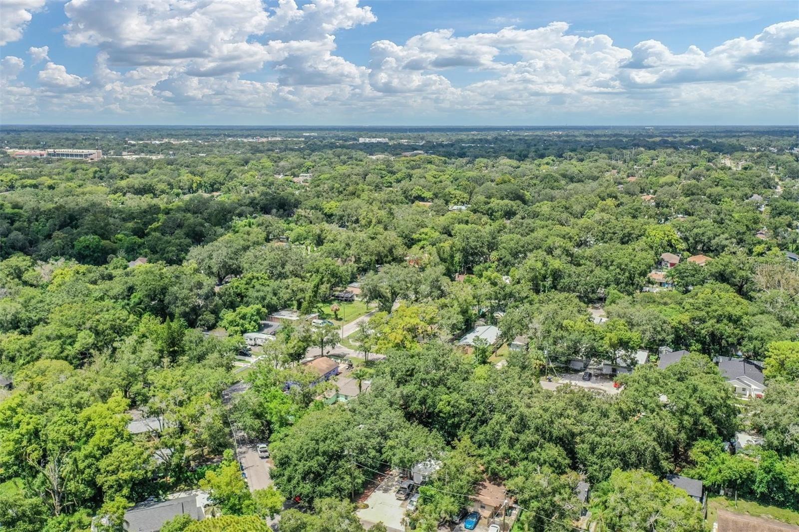 Aerial  View
