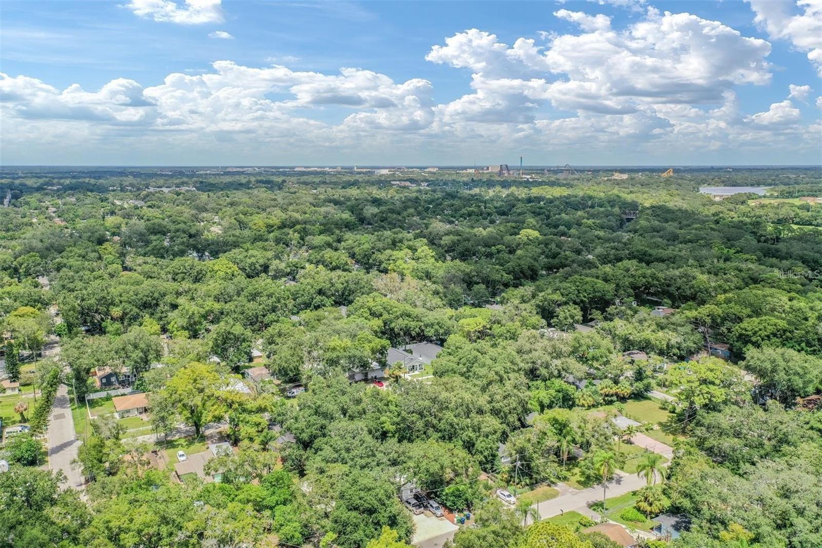 Aerial  View