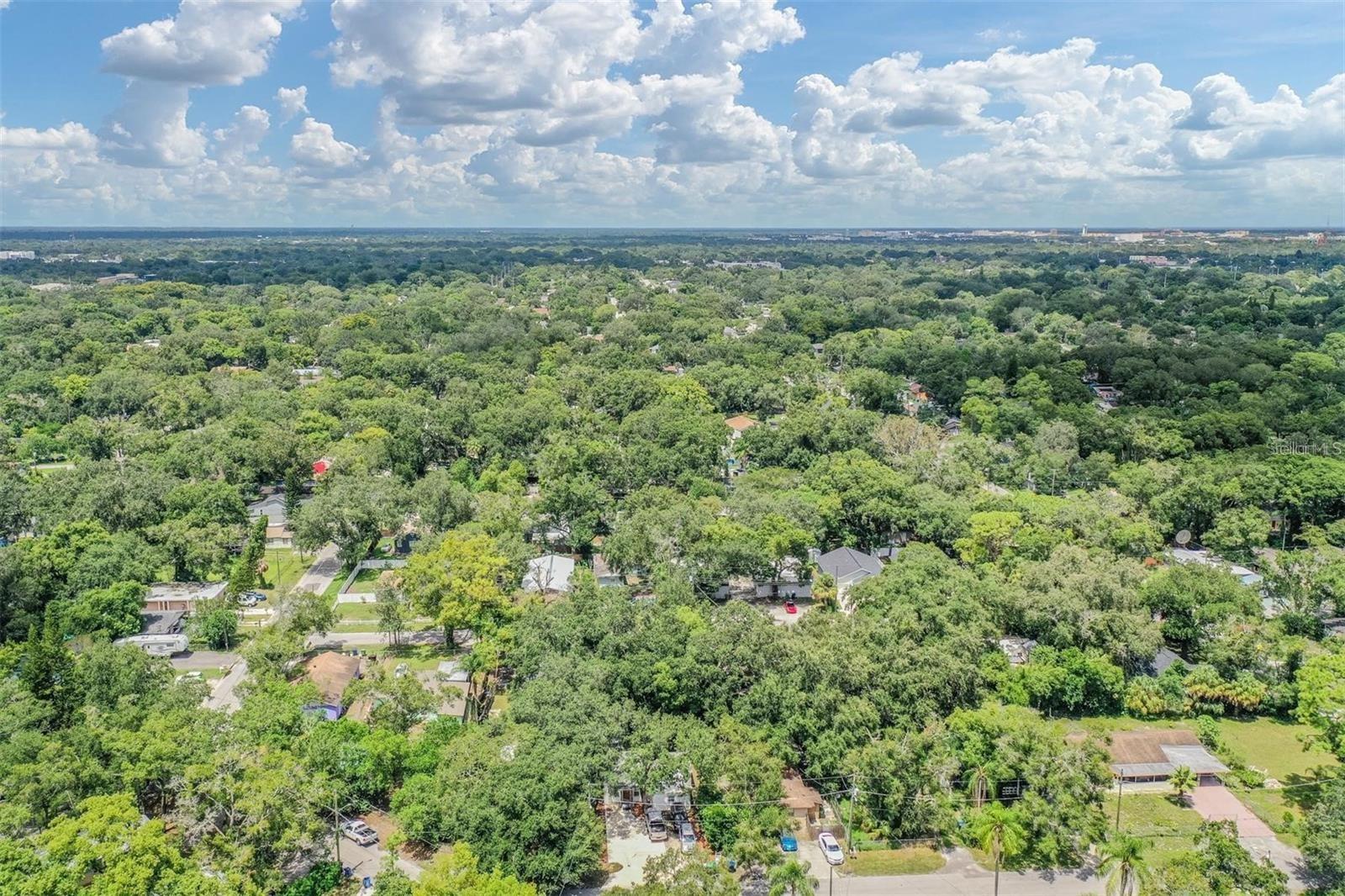 Aerial  View