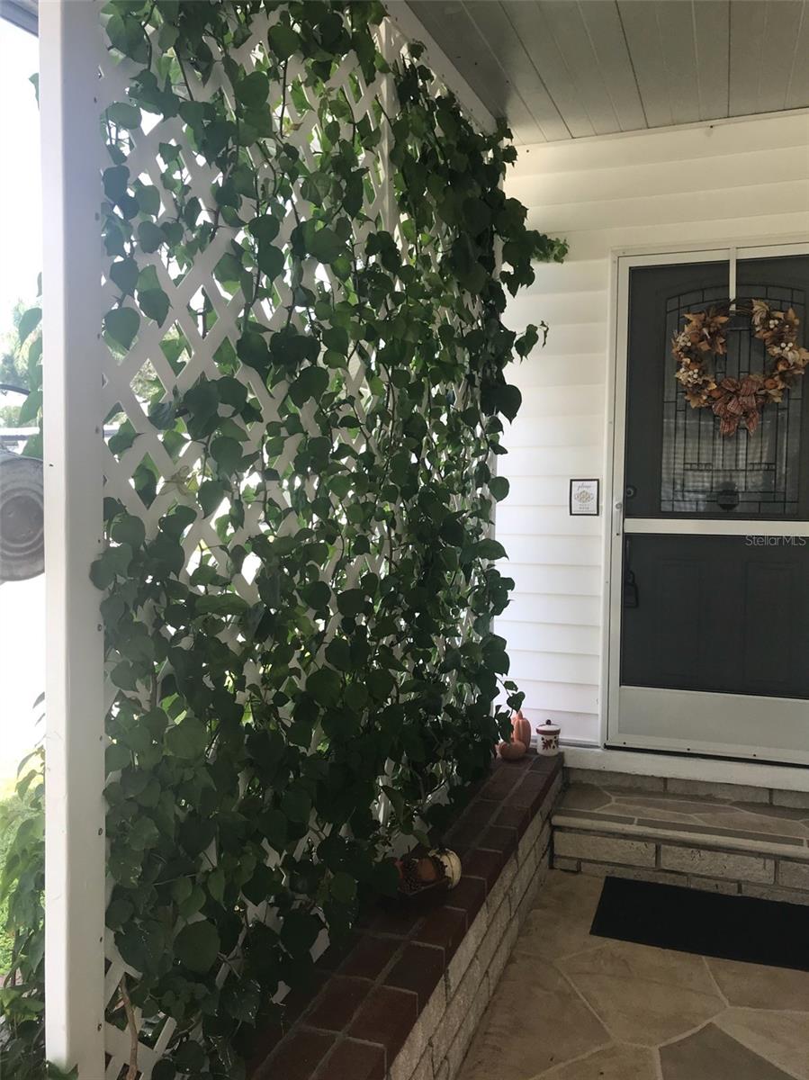 Front door through outdoor sitting area with Jasmine on trellis.