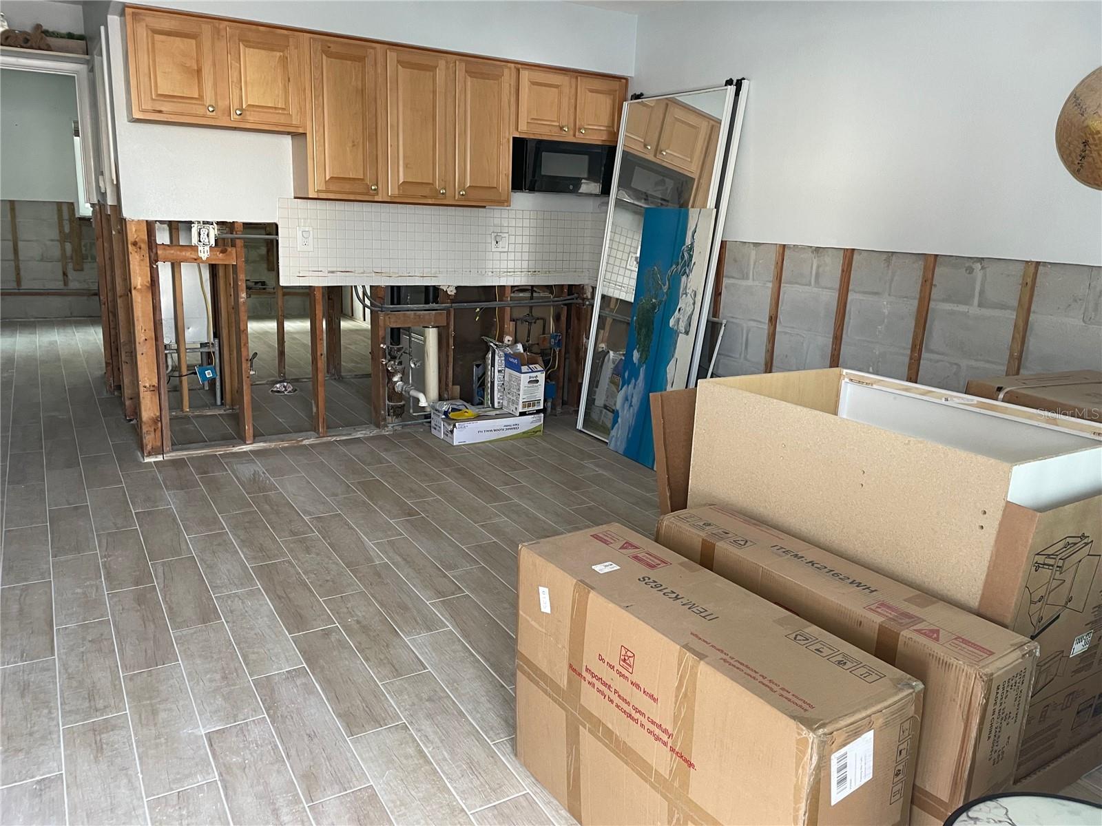 Living Area/Kitchen