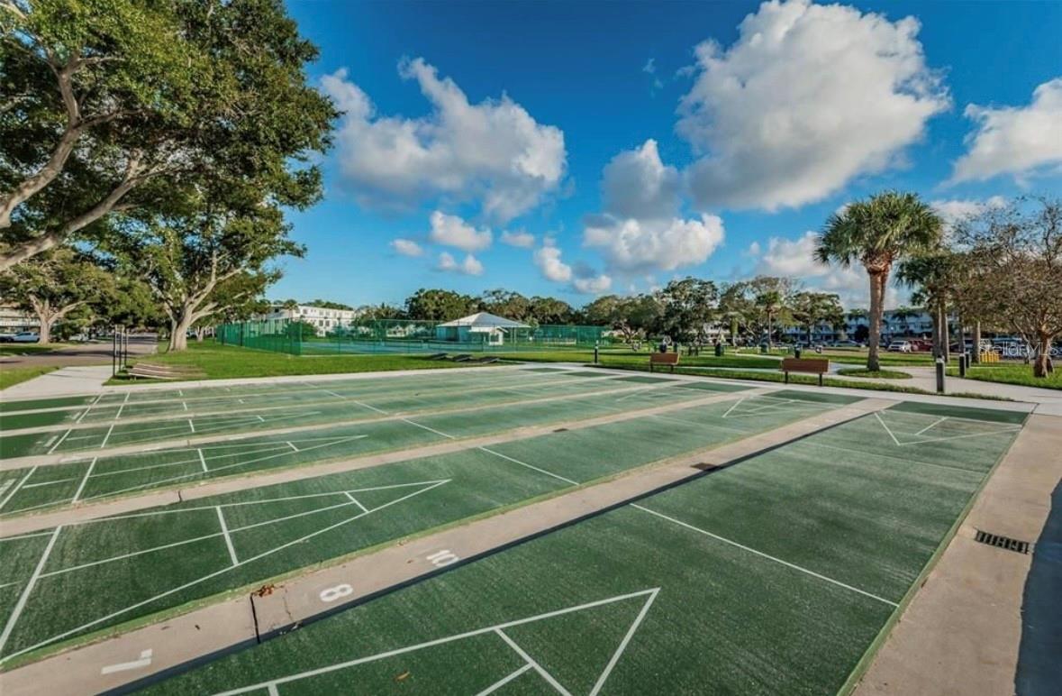 Shuffle board courts