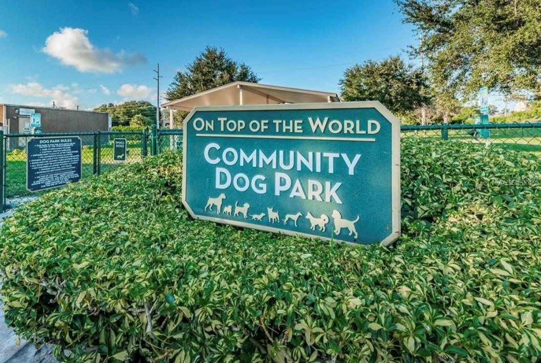 Dog Park