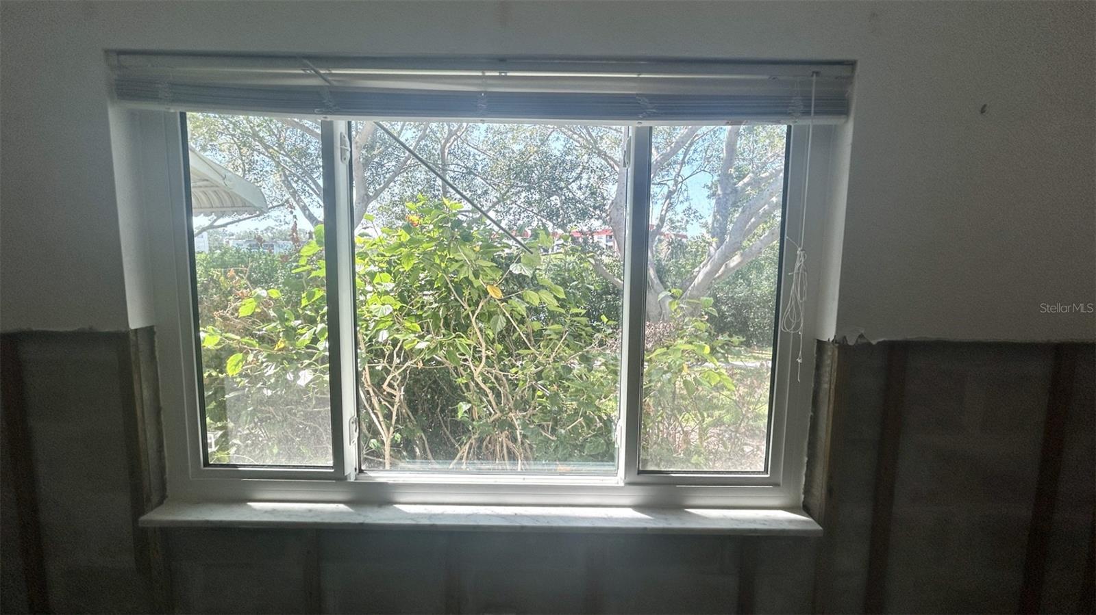 Guest view