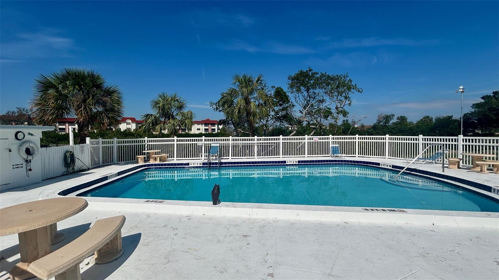 Community pool