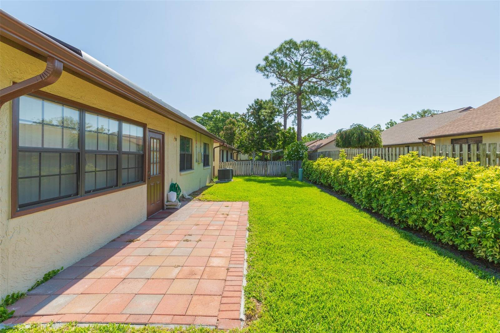 Oversized Yard and Patio