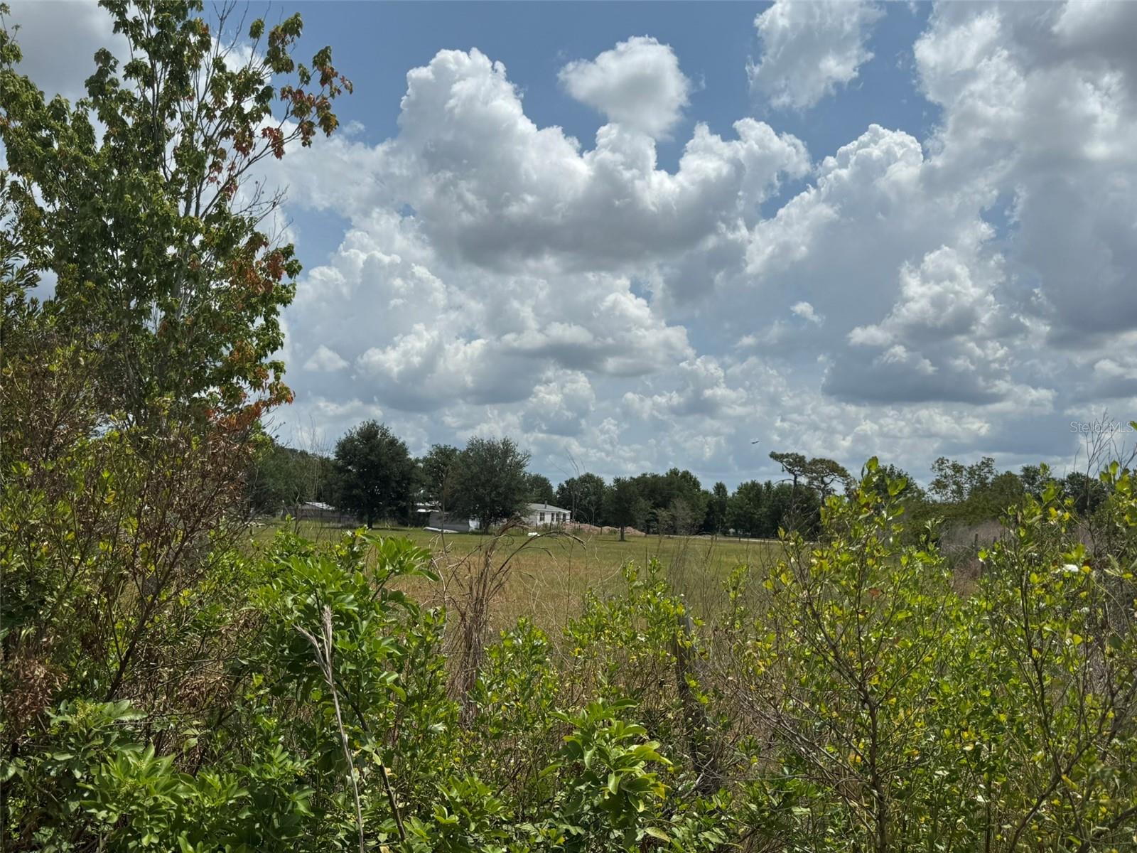corner lot