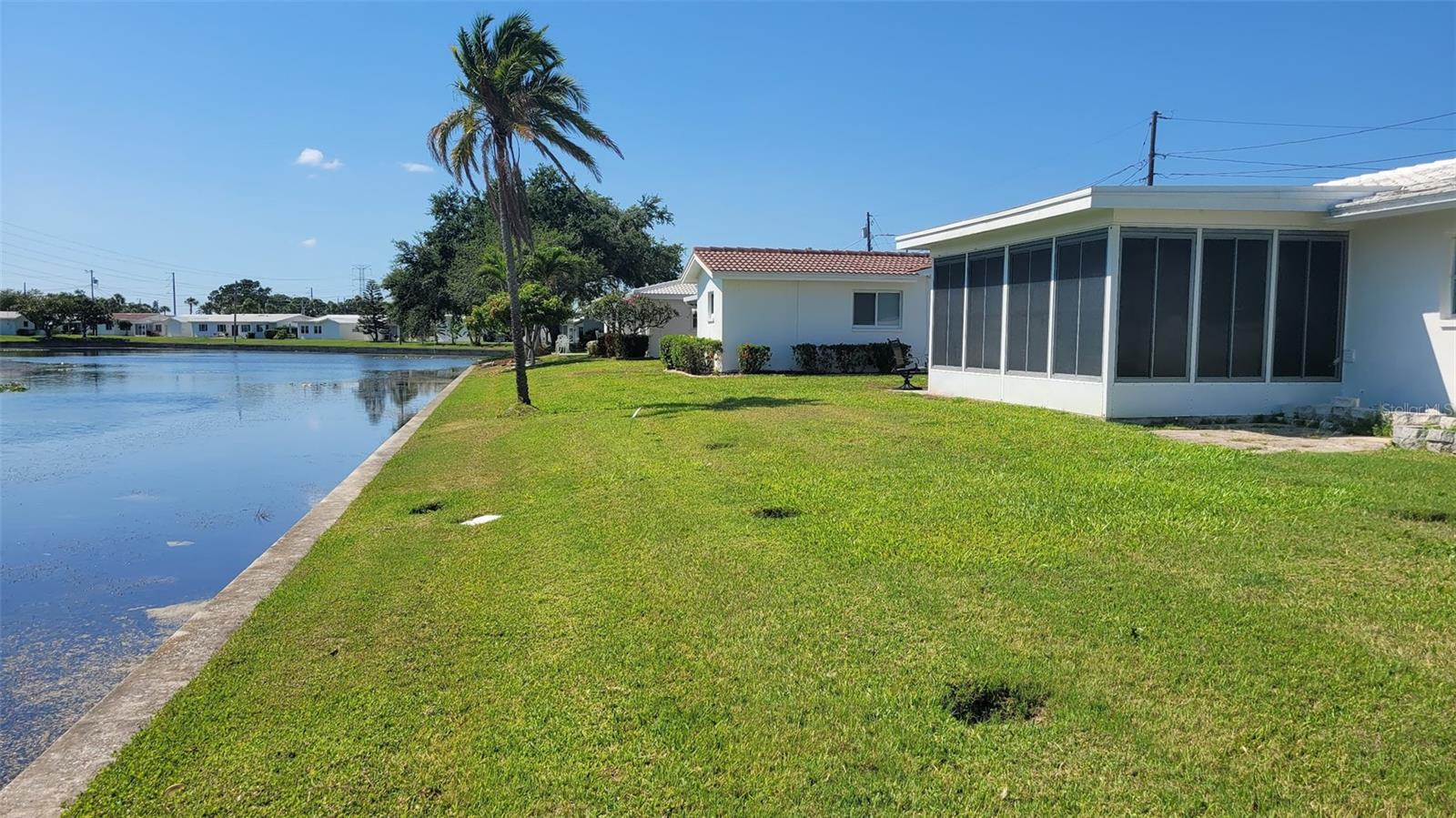 Another view of the back yard  and pond.