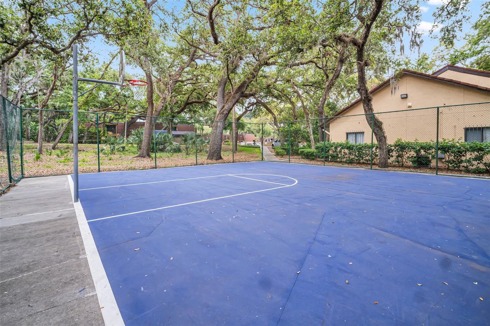 Community Basketball Court