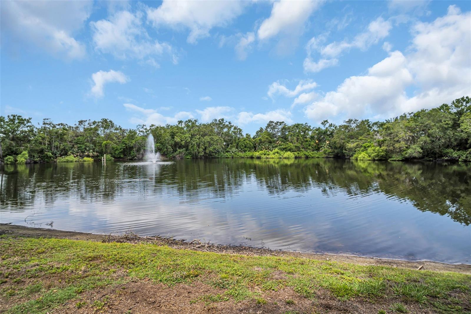 Catch and Release Pond
