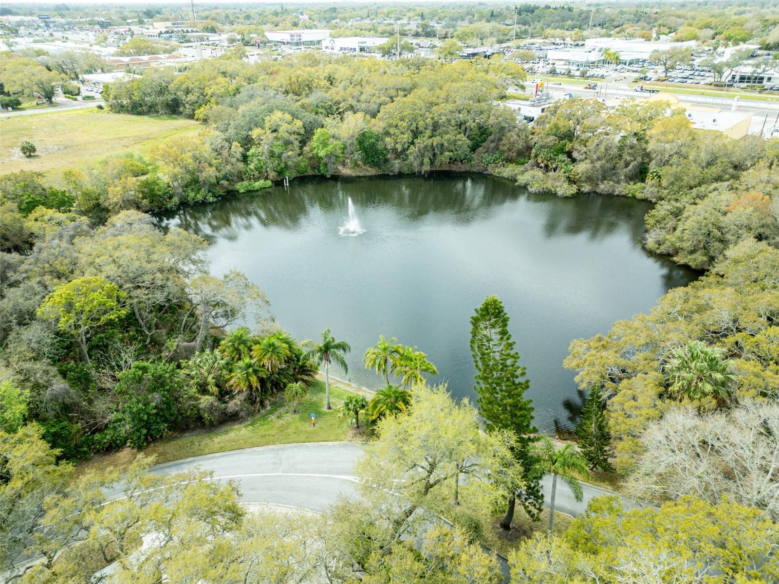 Catch and Release Pond