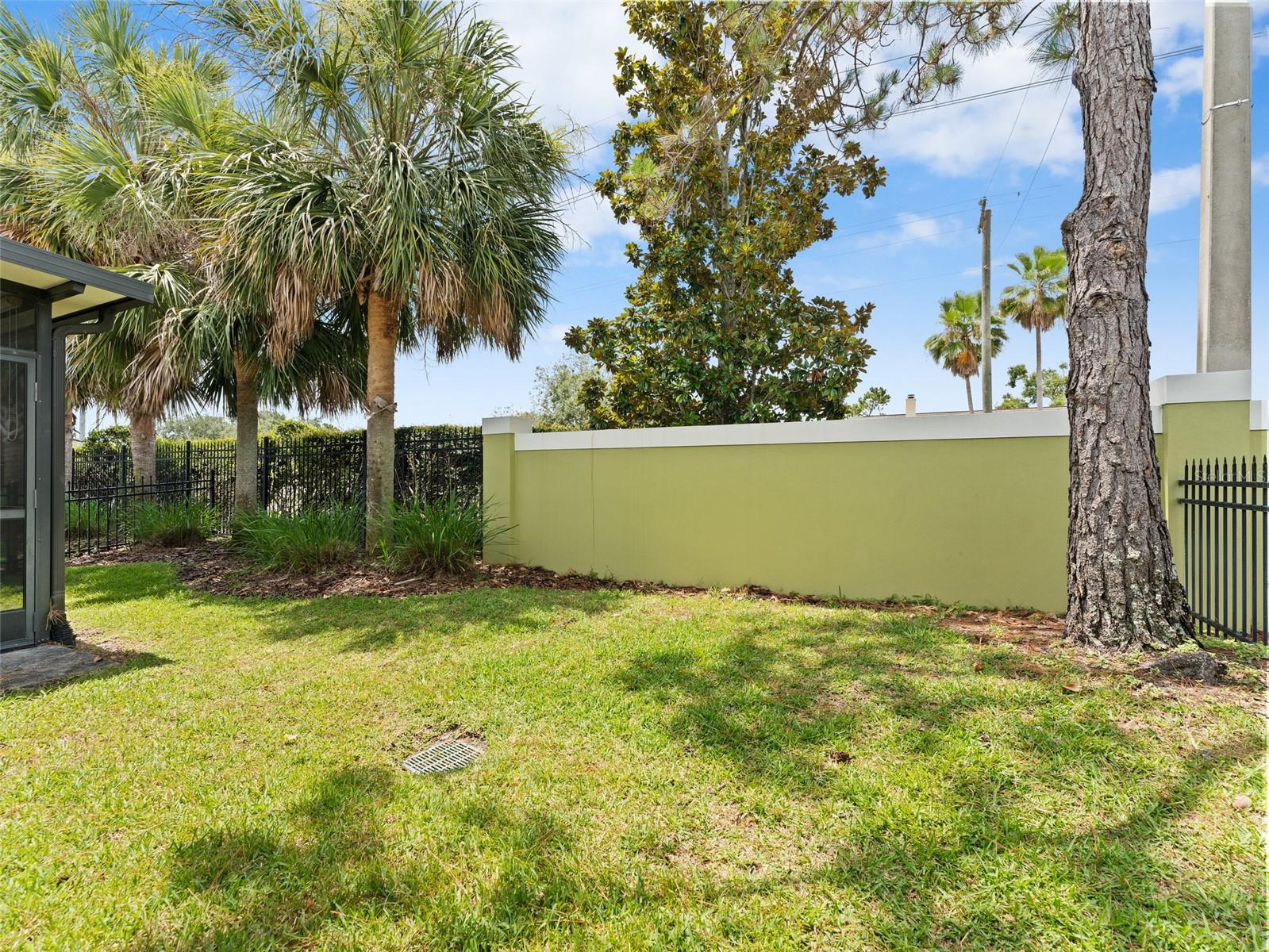 Large Back Yard