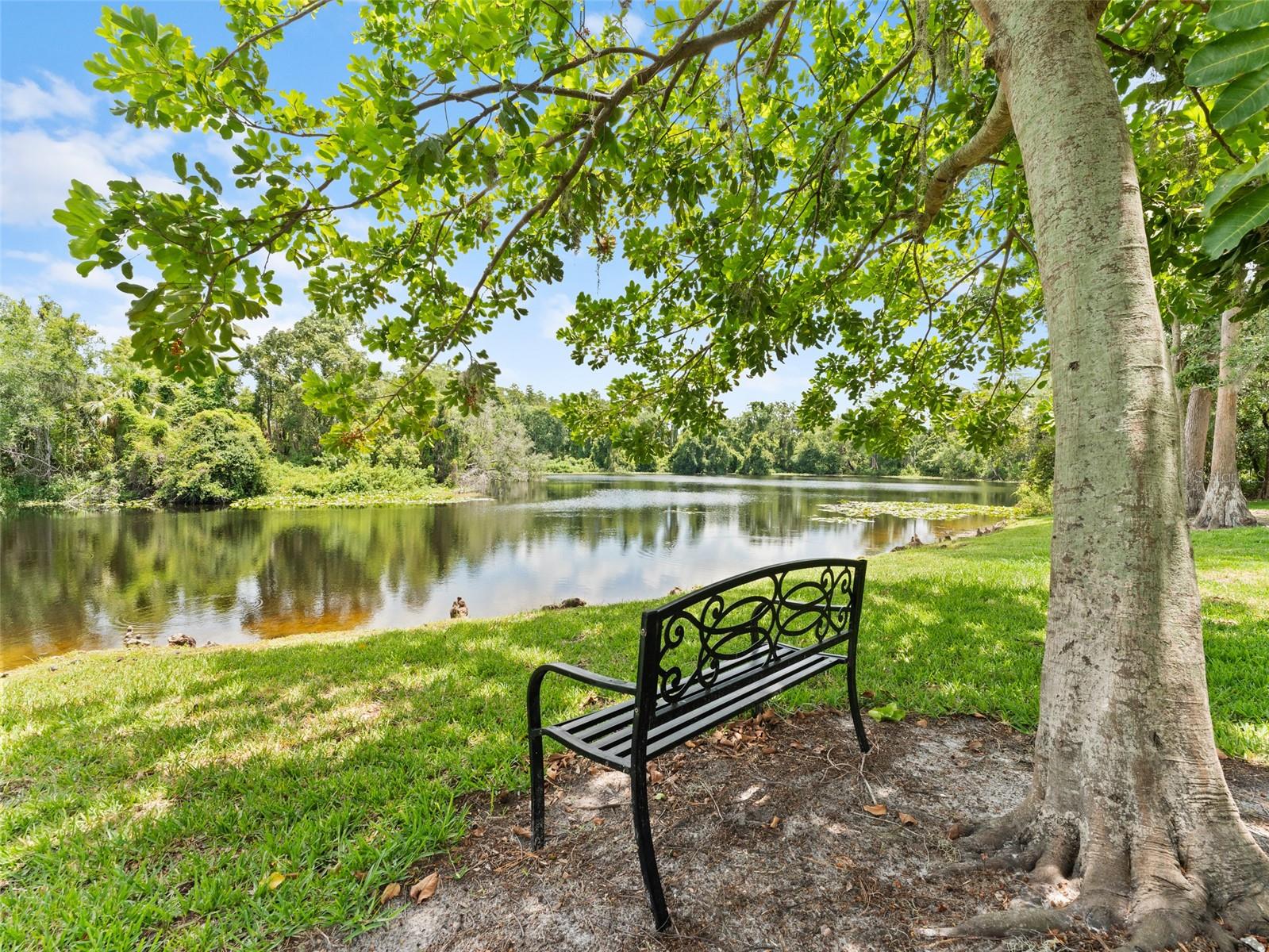 Community Center Lake view