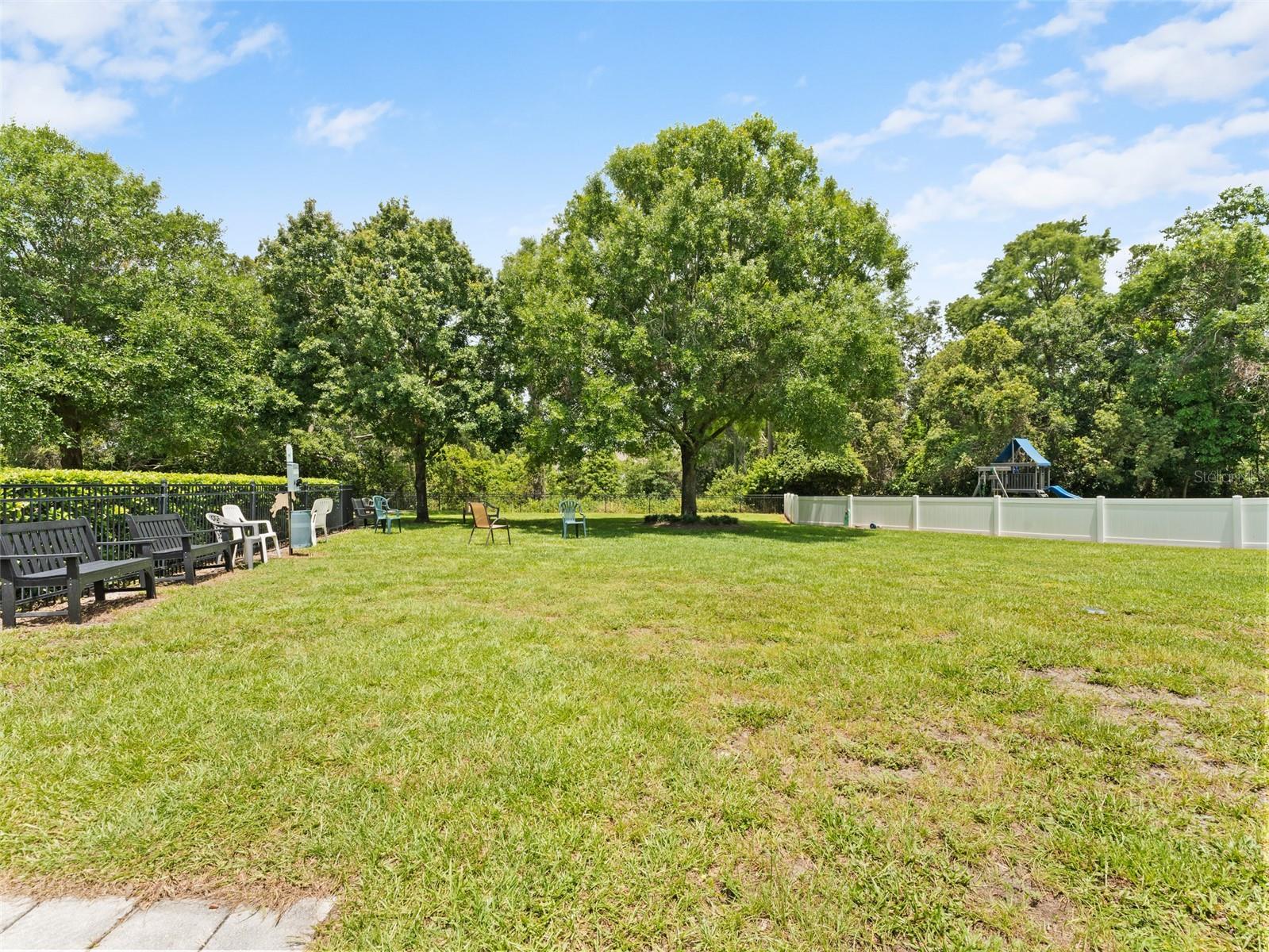 Dog Park