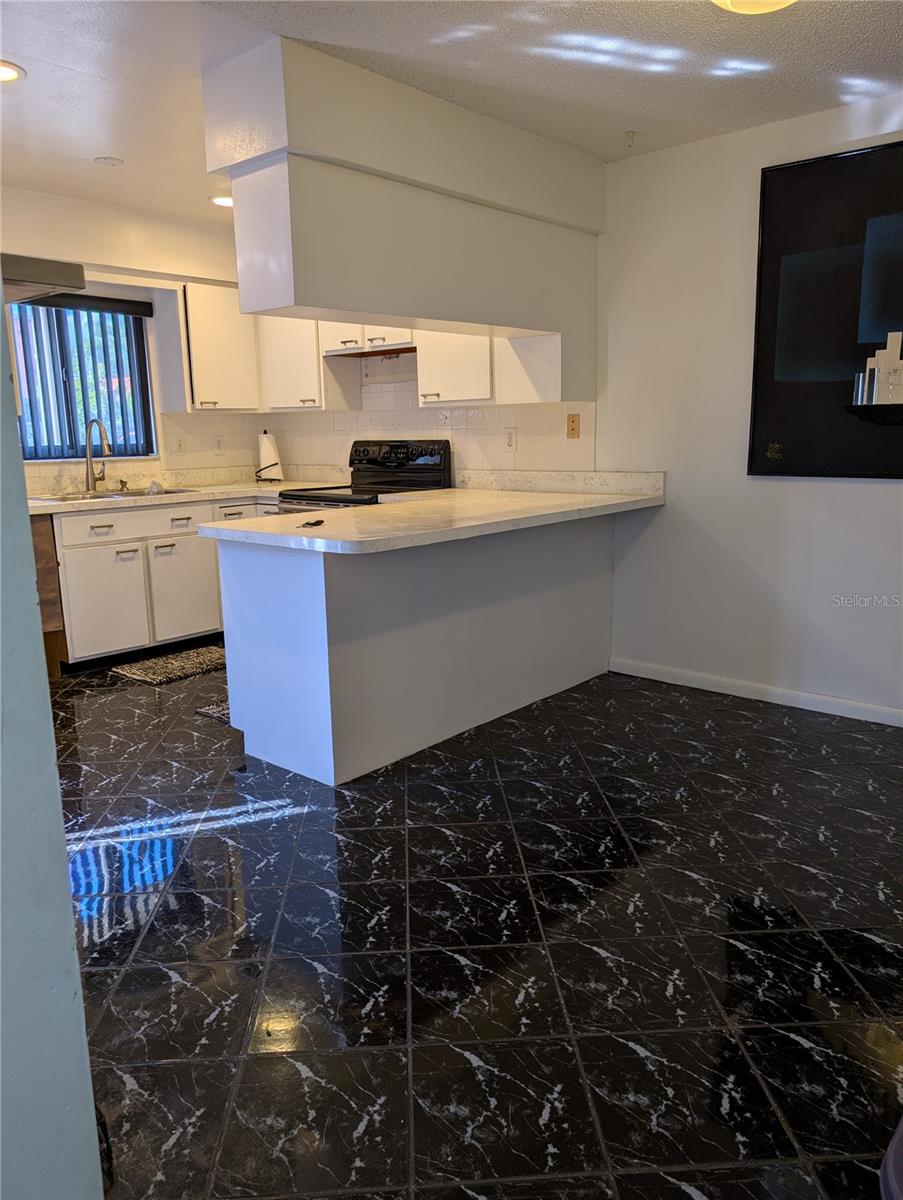 Dining and kitchen area