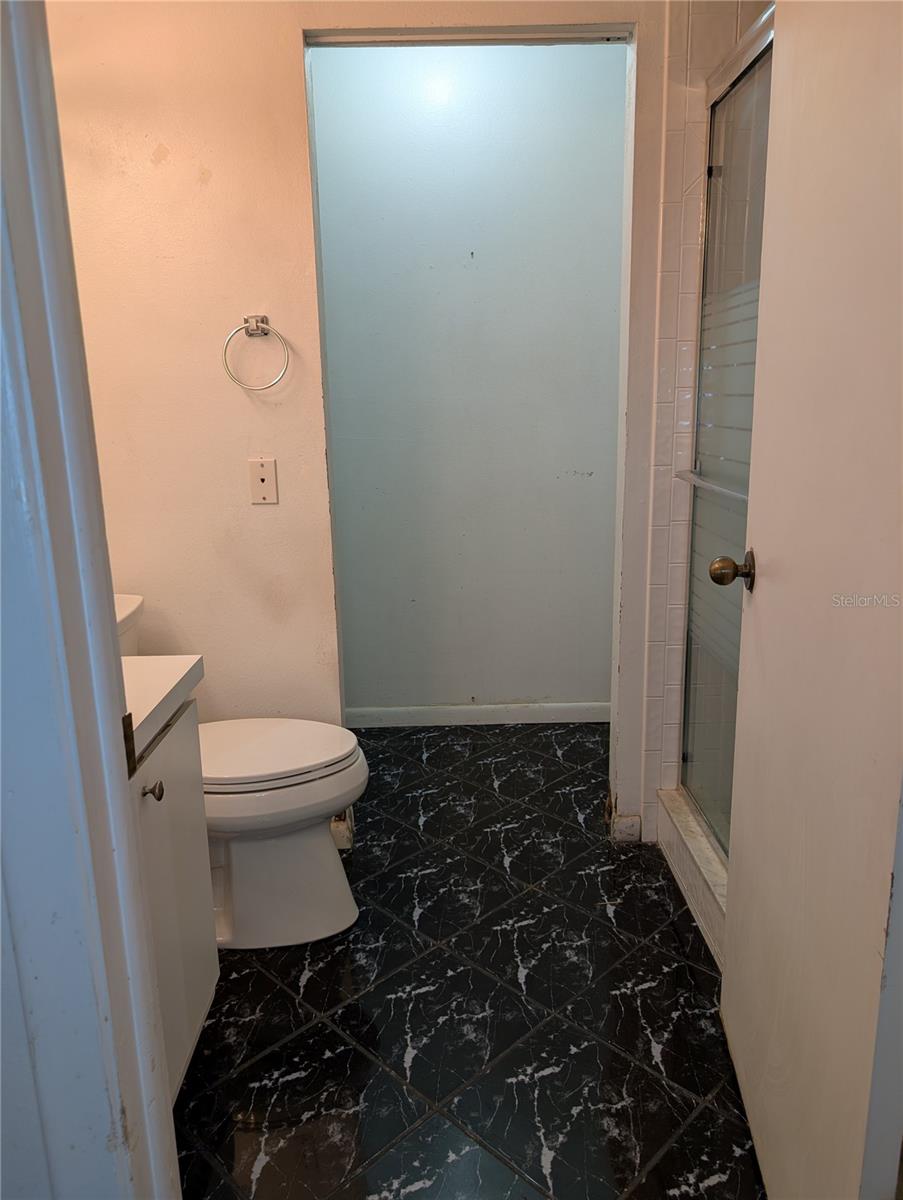 Downstairs full bathroom