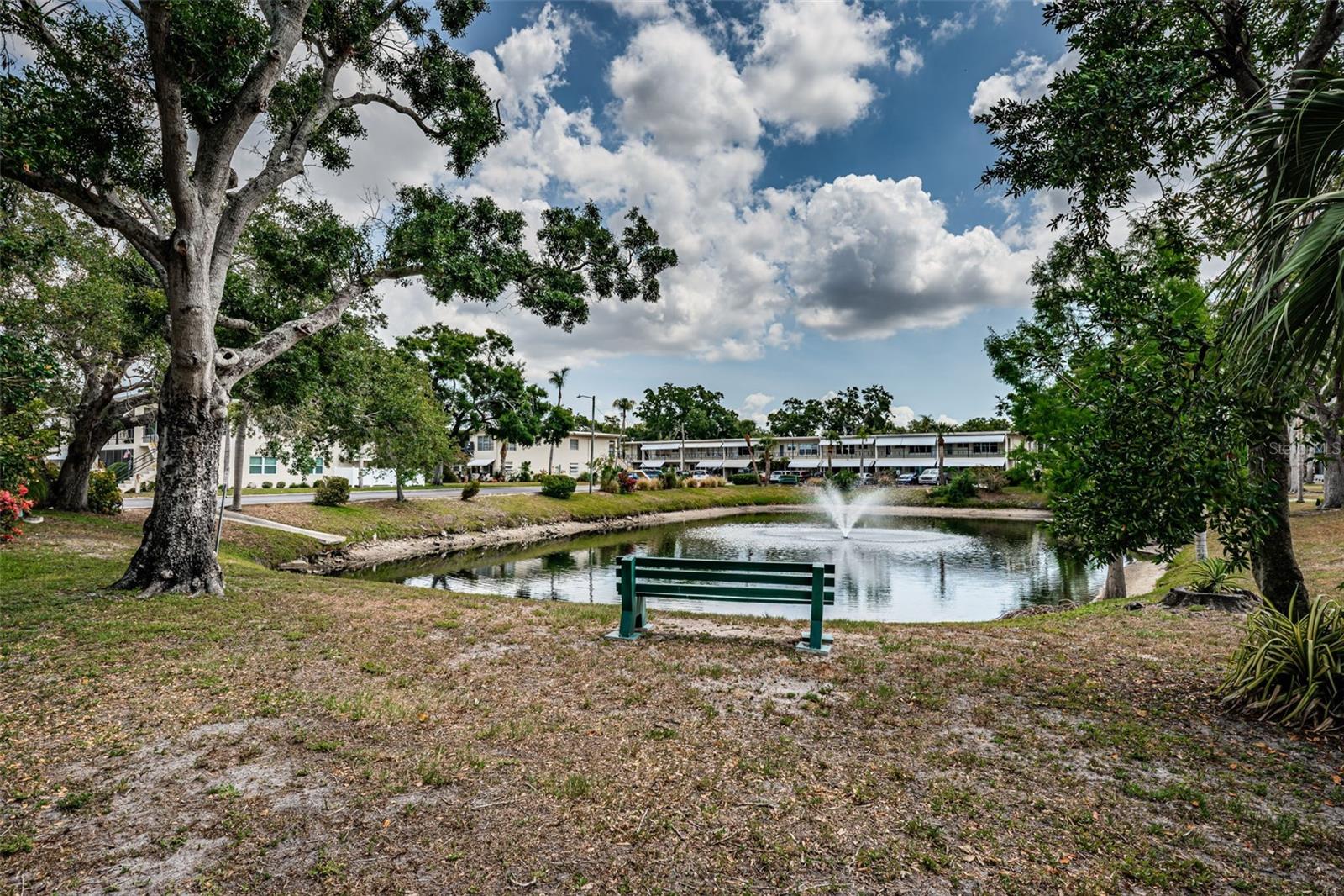 Pond down from the building