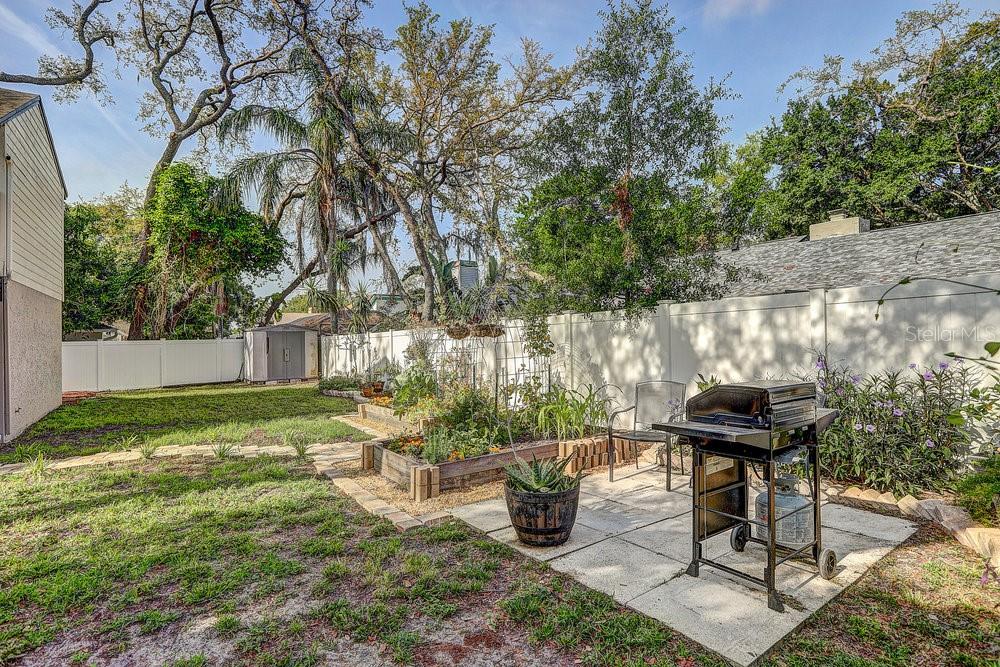 Back yard