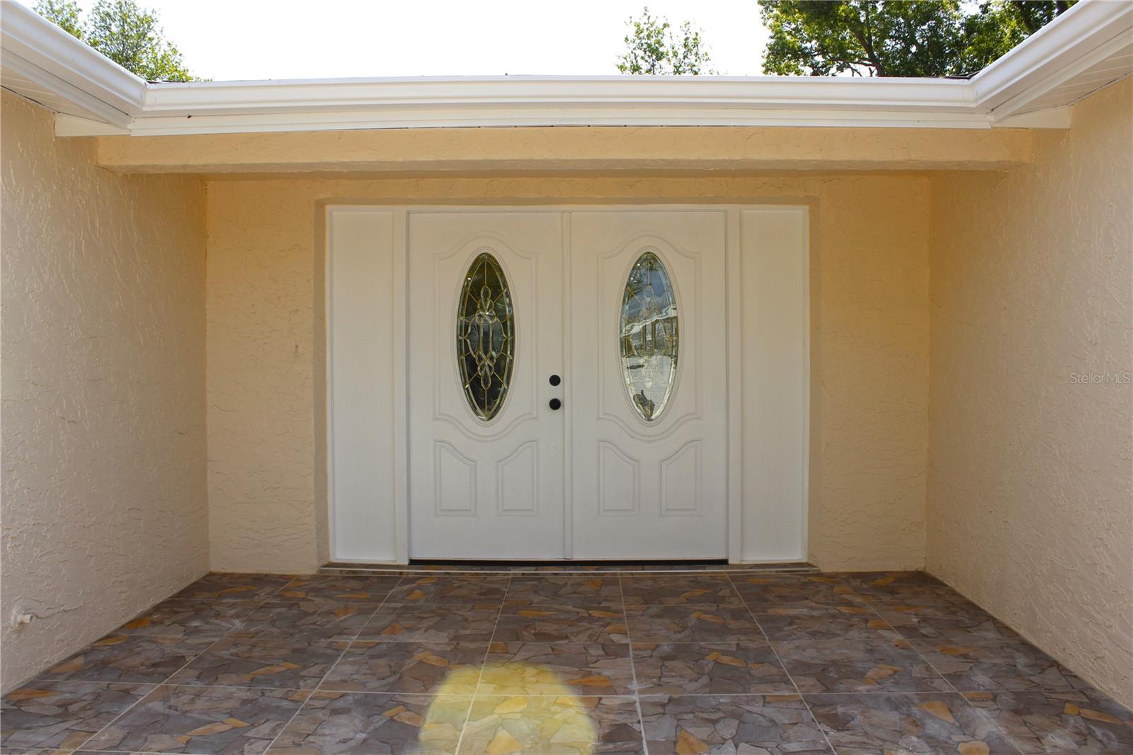 ENTRANCE BEATIFULL DOUBLE GLASS DOORS