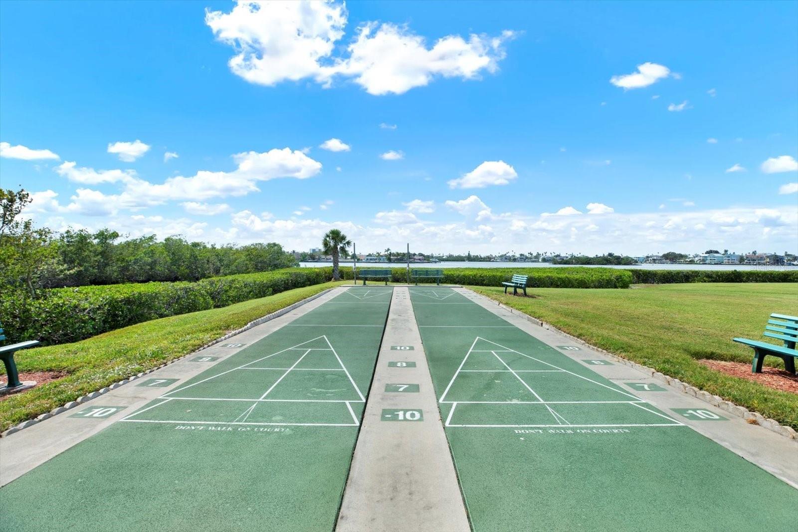 Shuffleboard court
