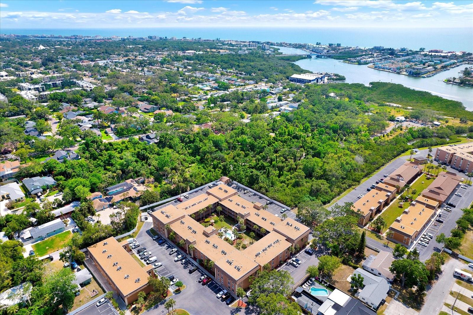 Aerial shot of community