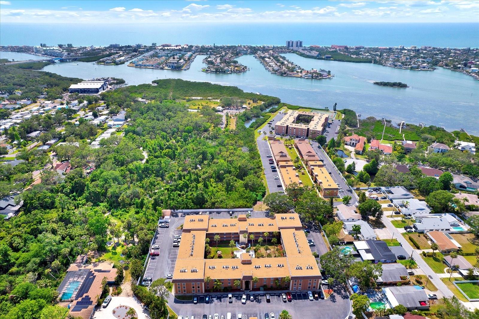 Aerial shot of community pool and courtyard