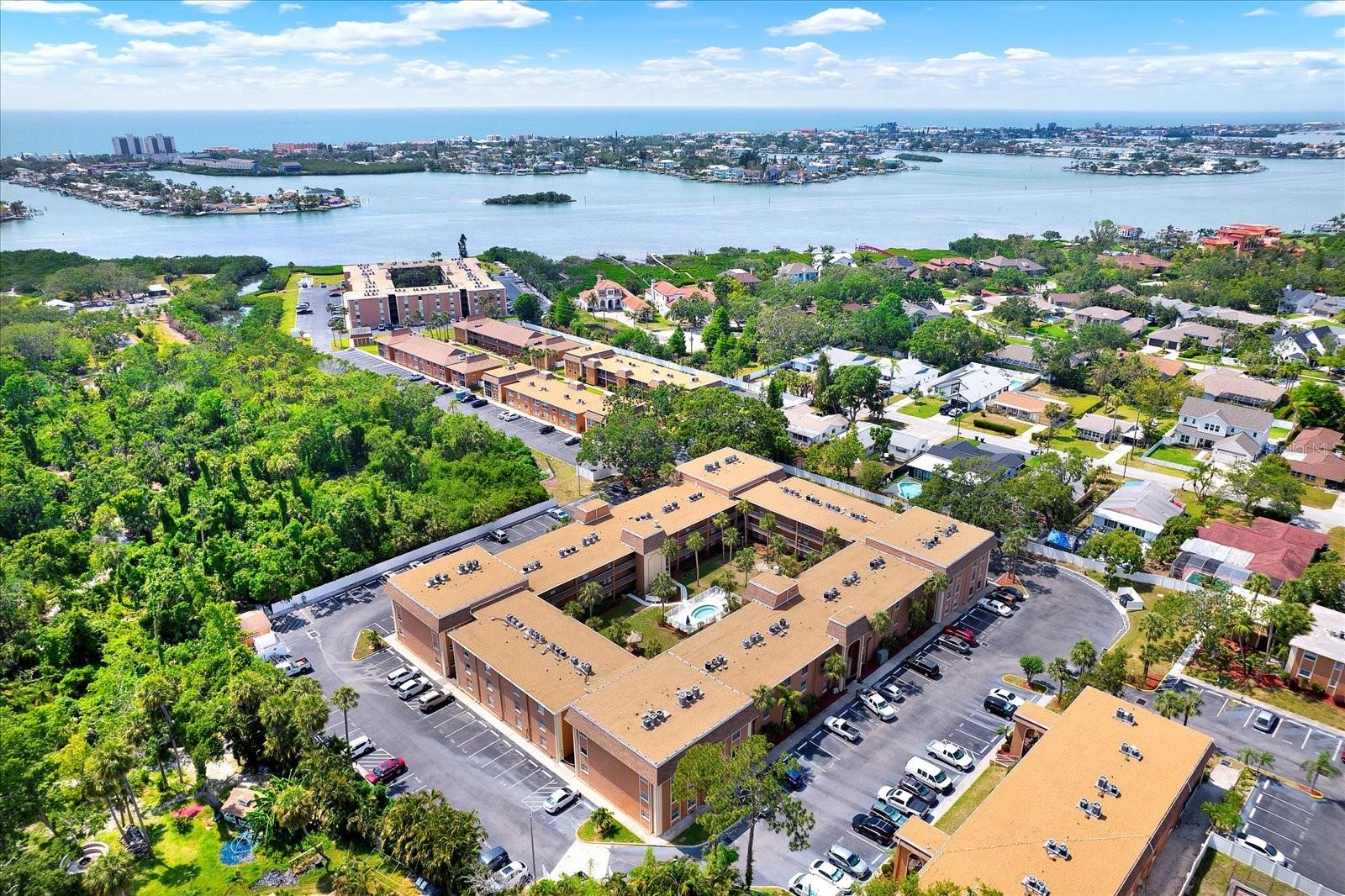 Aerial shot of community