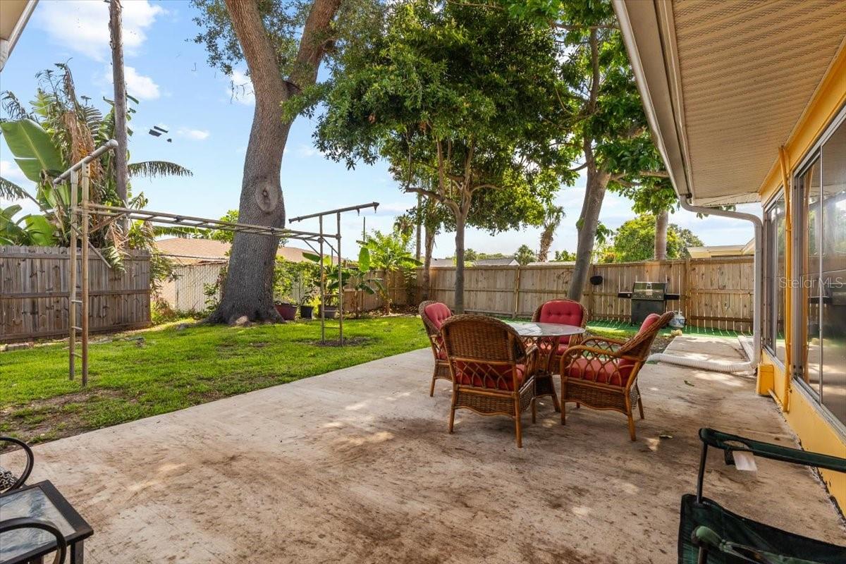 BACK YARD