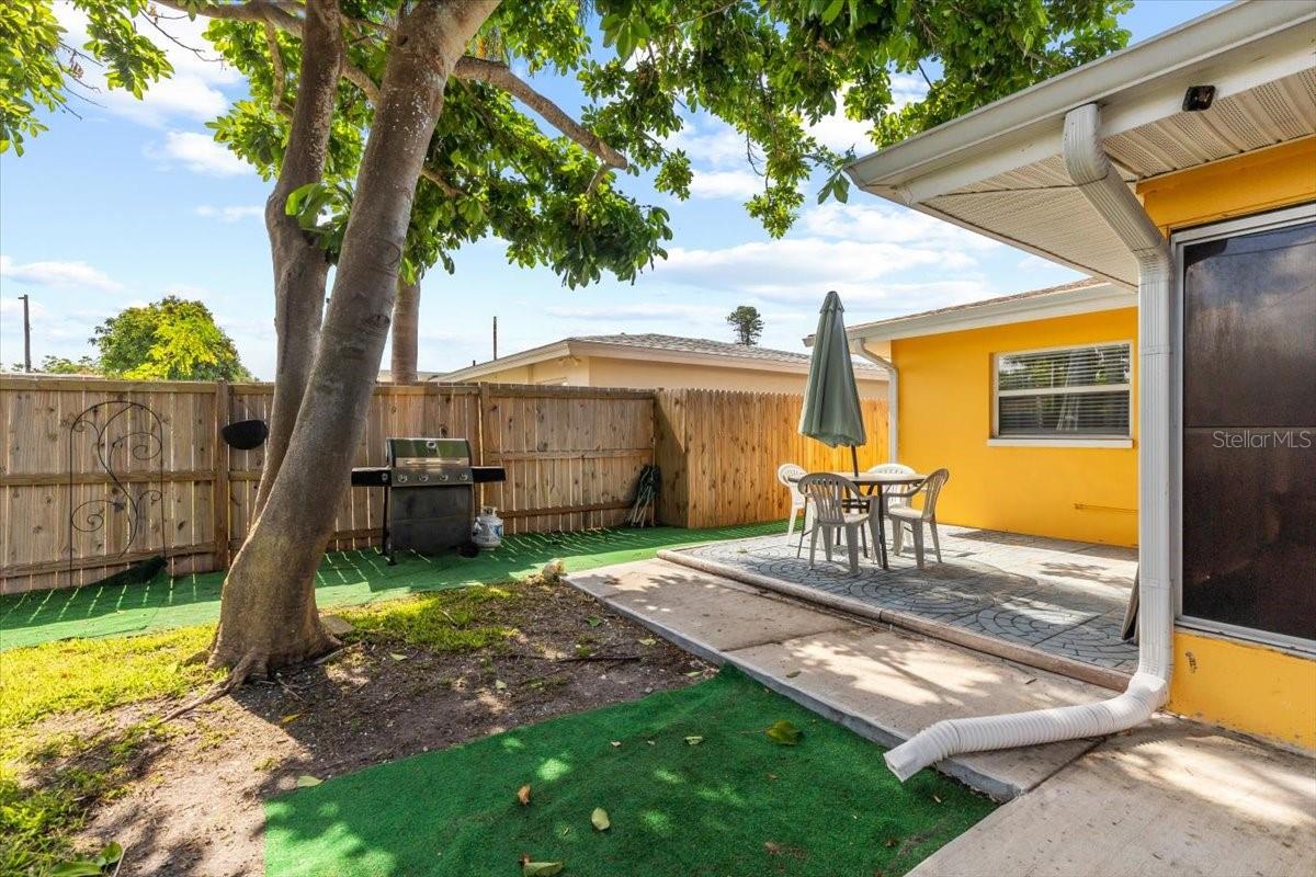 BACK YARD