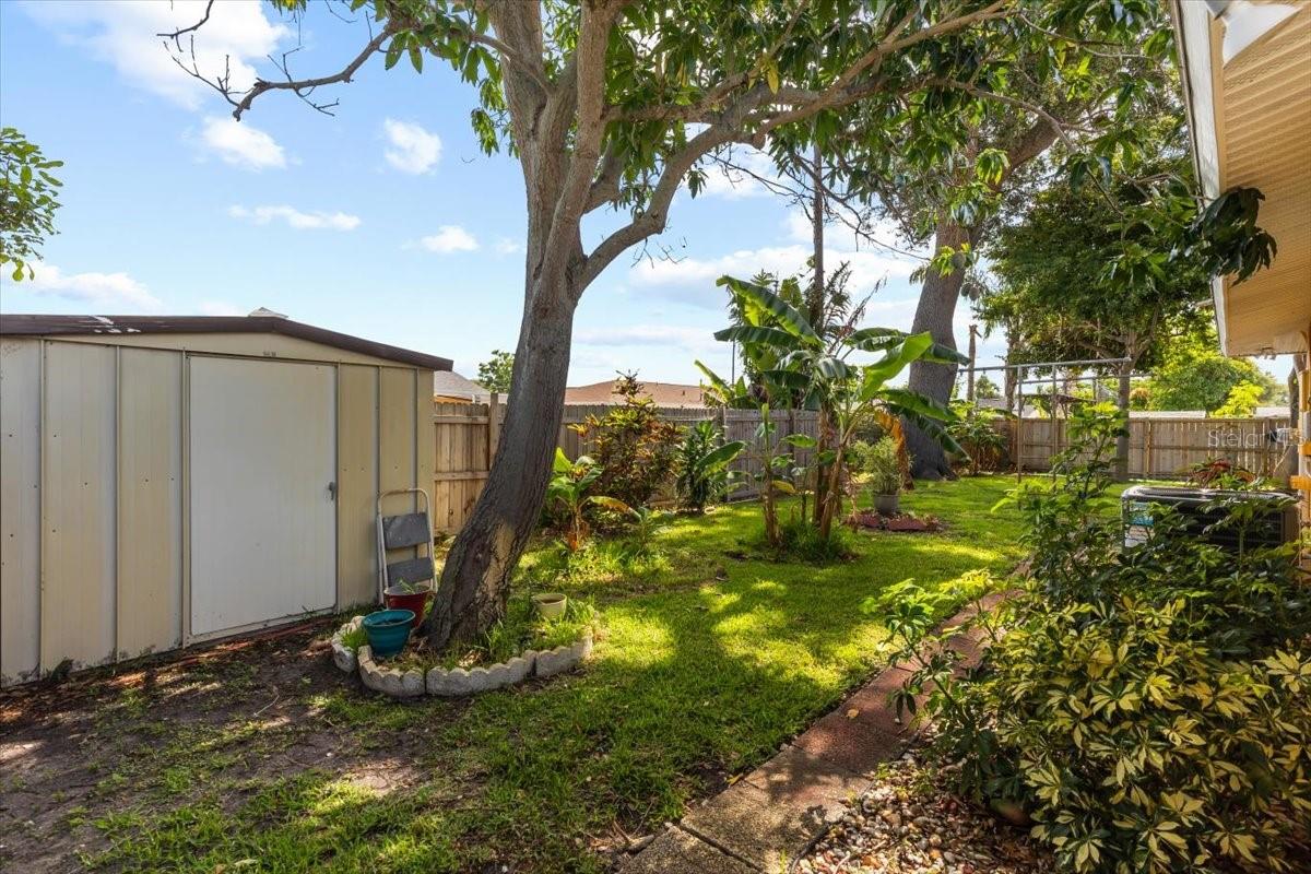 BACK YARD