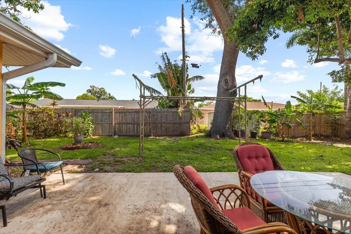 BACK YARD