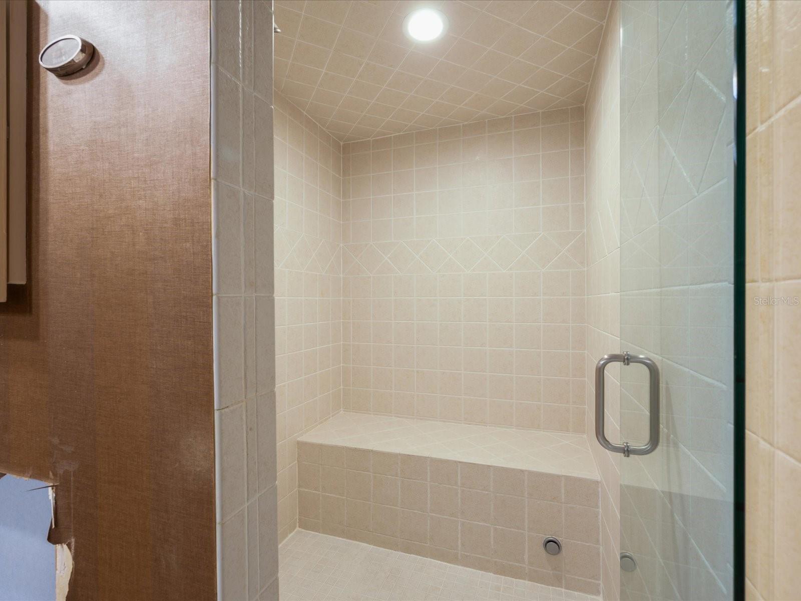 Primary steam shower