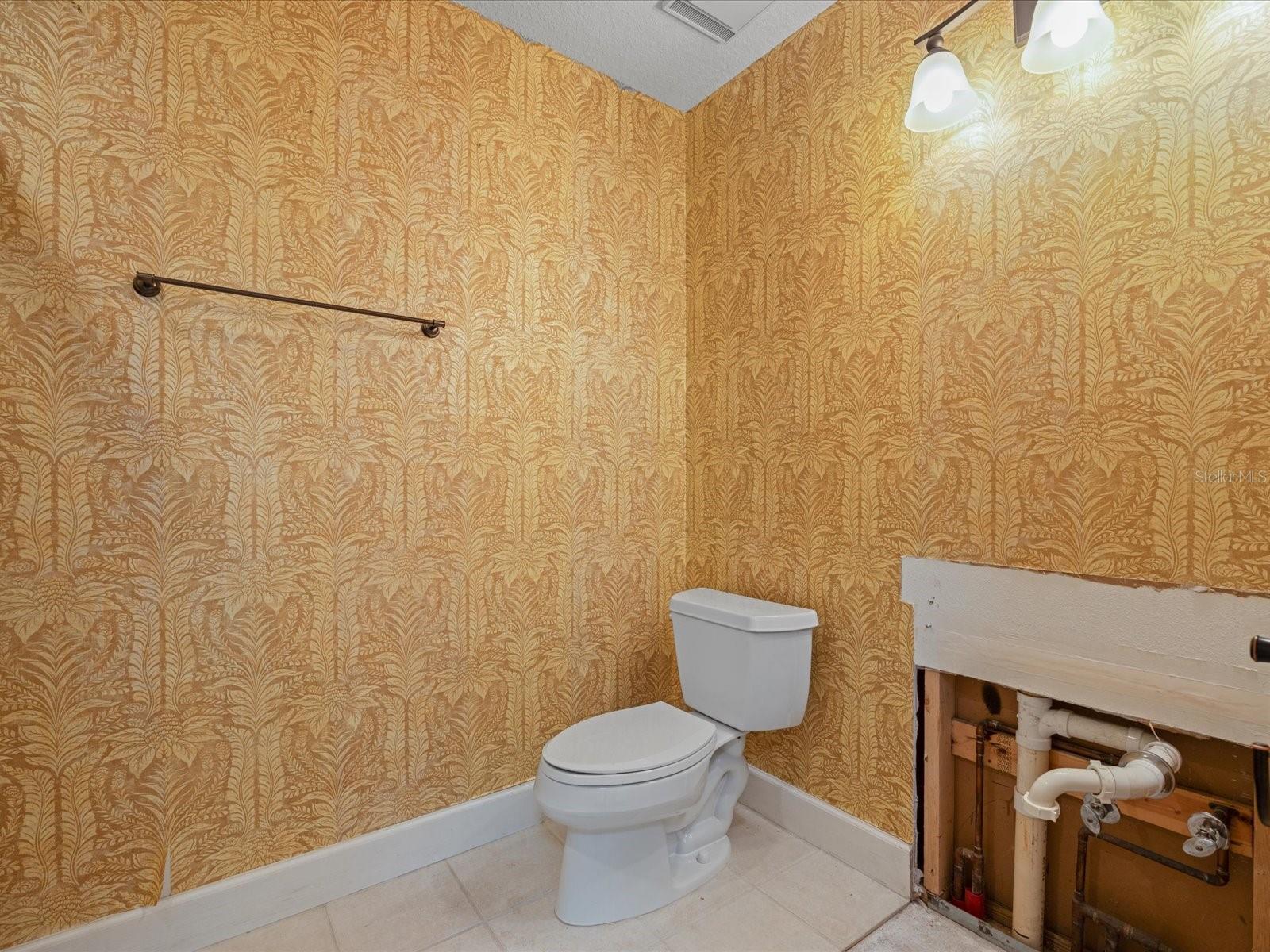 Hall bath with walk in shower