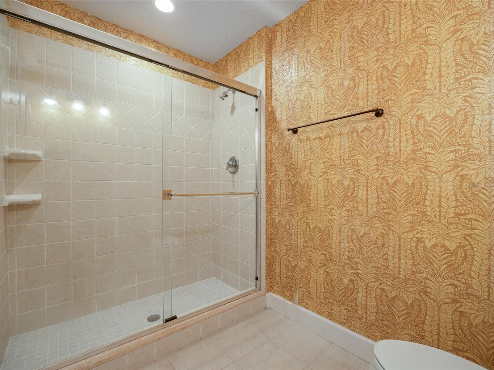 Hall bath shower