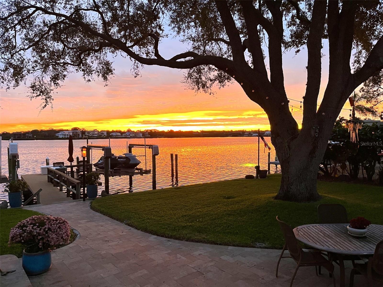 Backyard at dusck