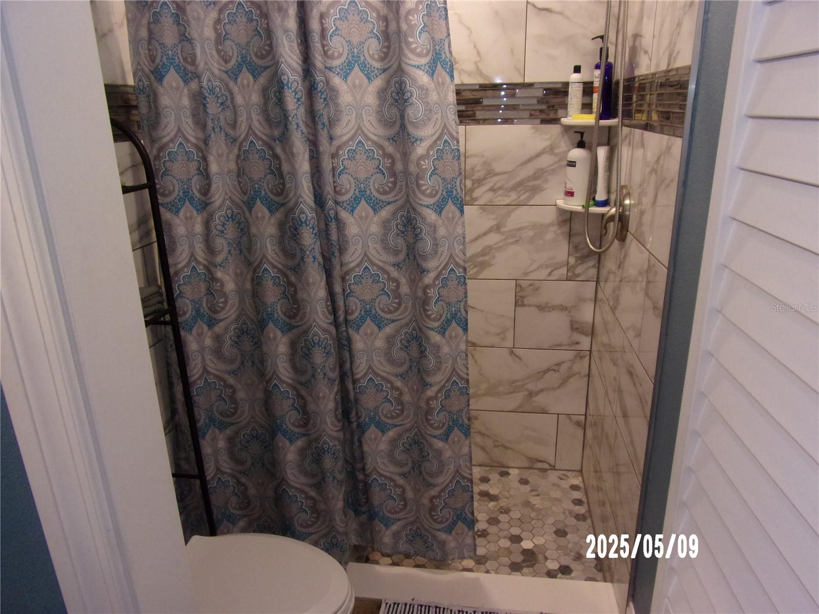 Toilet Closet and Walk in stall shower
