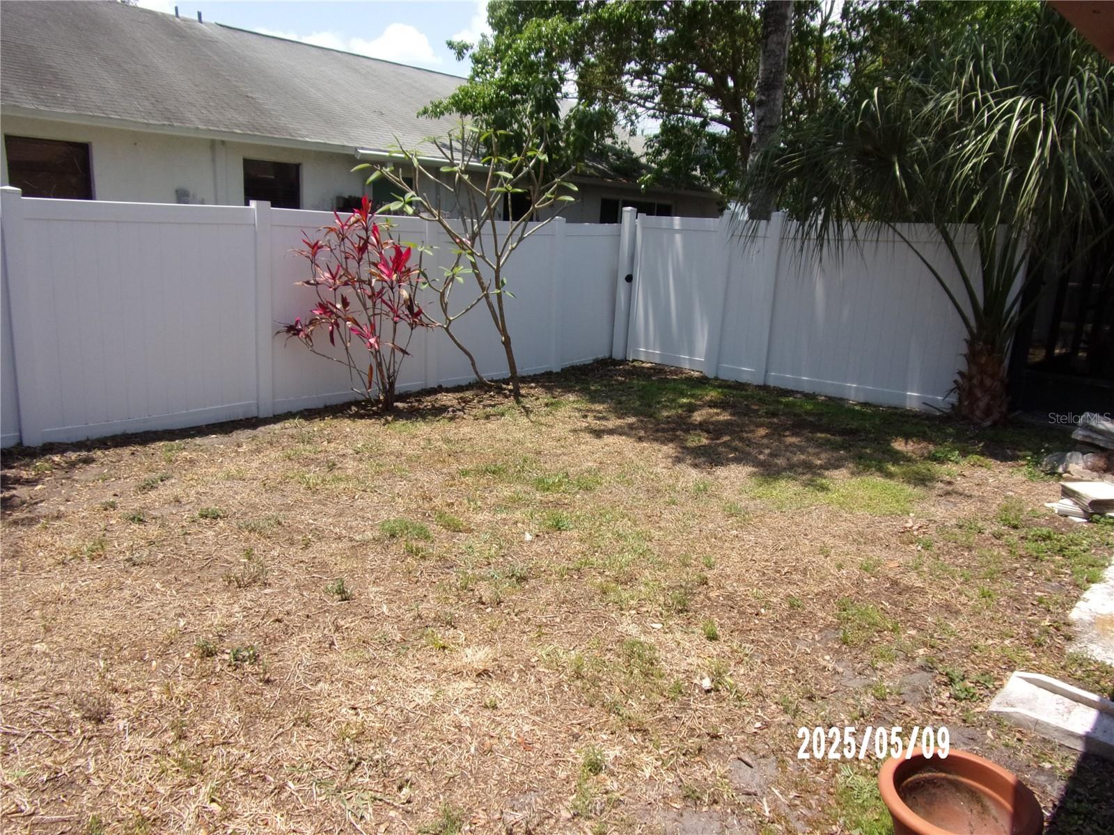 Fenced back yard