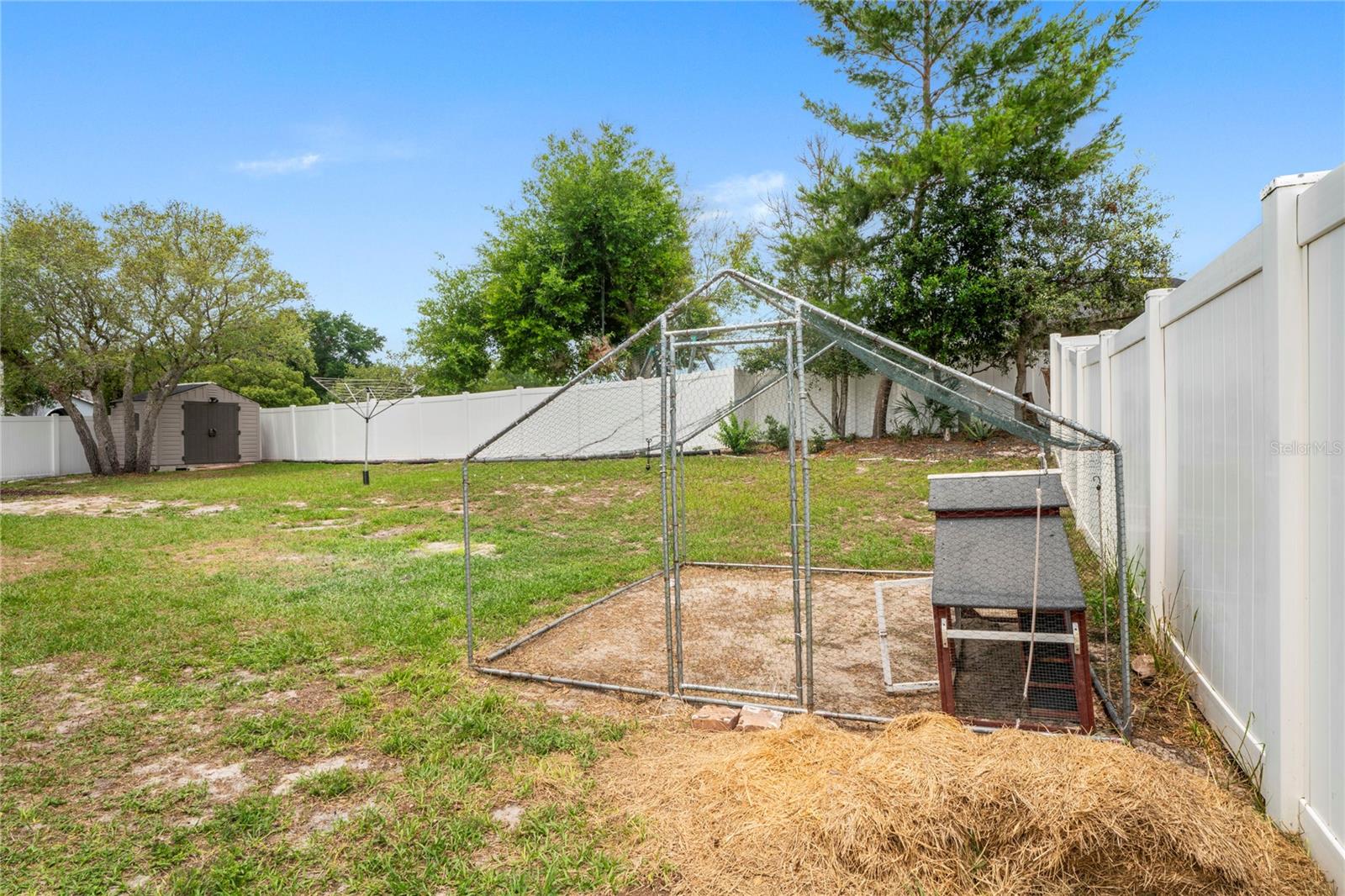 Chicken Coop