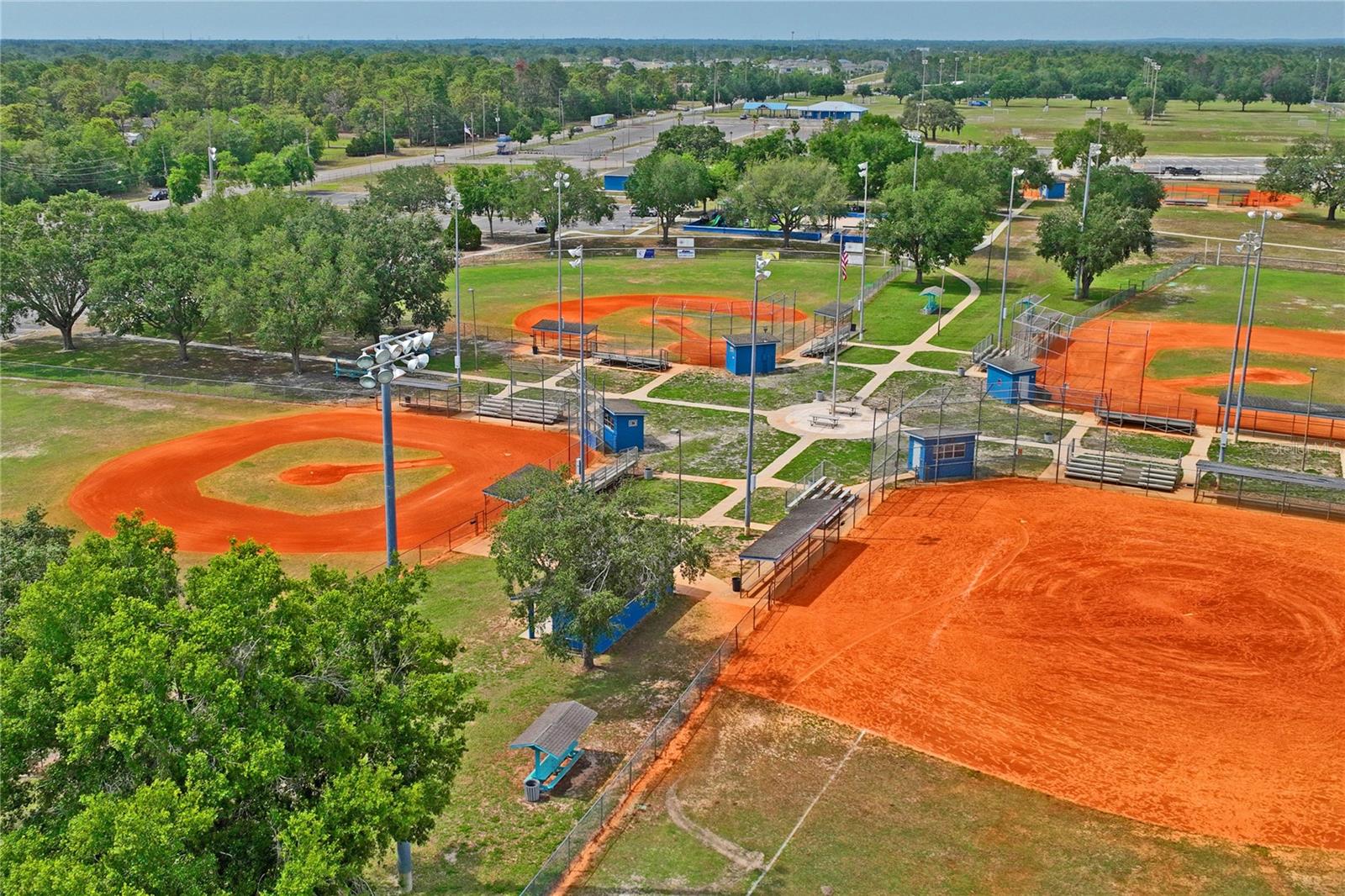 Anderson Snow Fields
