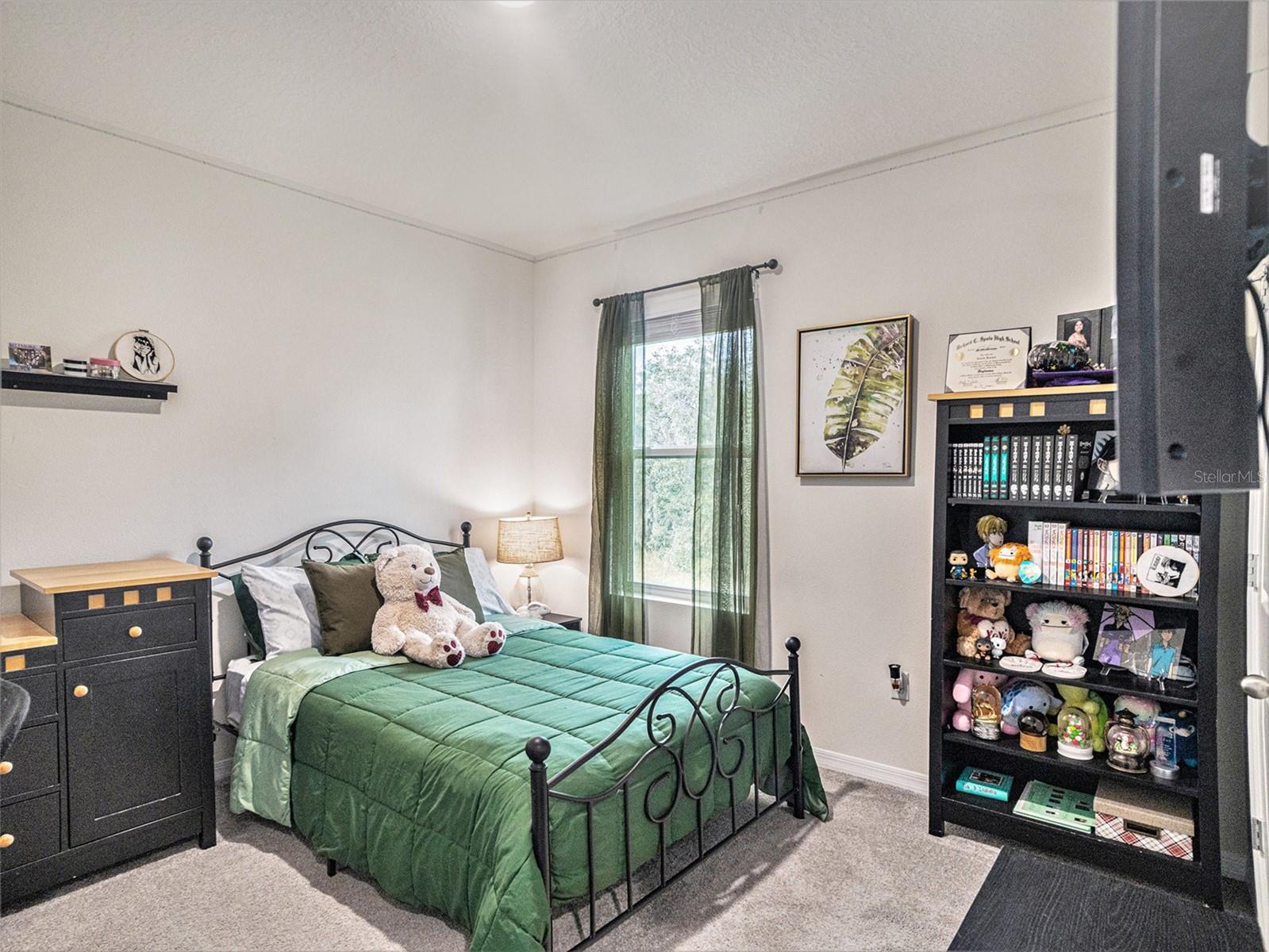 17012 Oval Rum Drive, Wimauma, FL 33598 - Bedroom 3