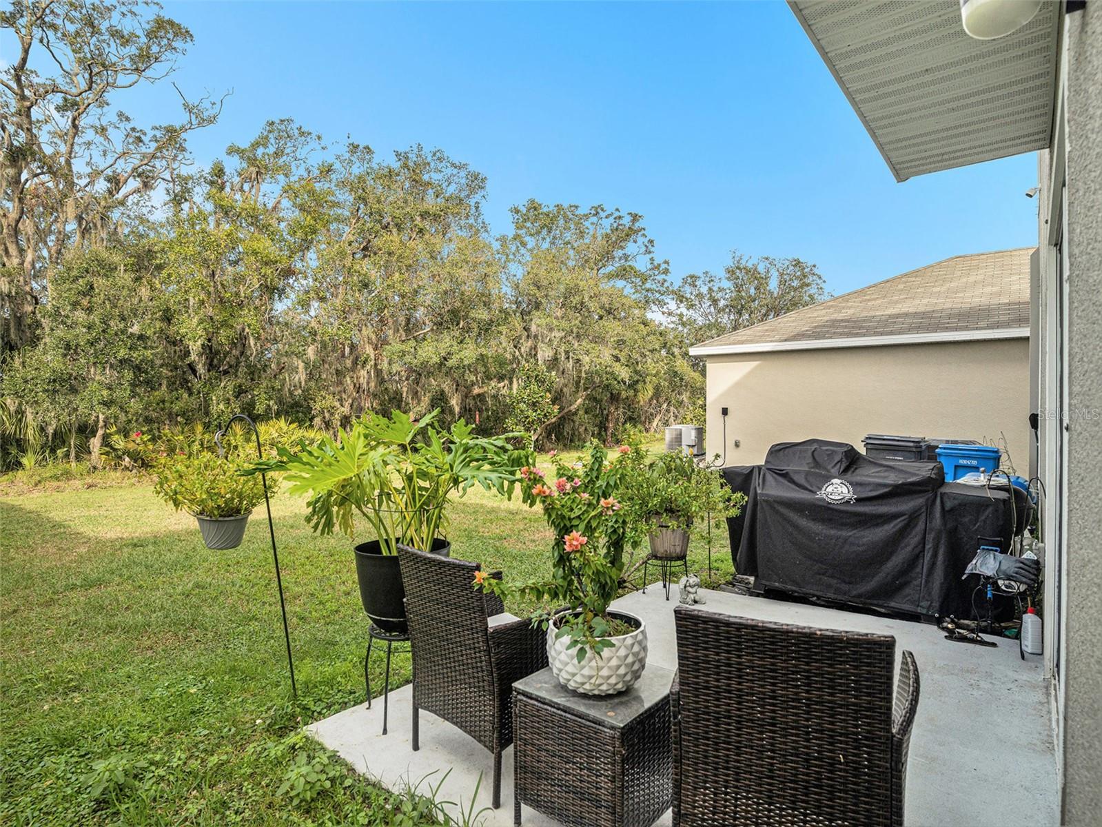 17012 Oval Rum Drive, Wimauma, FL 33598 - patio