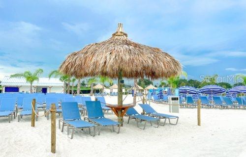 17012 Oval Rum Drive, Wimauma, FL 33598 - Southshore Bay Lagoon